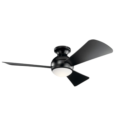 Sola Fan