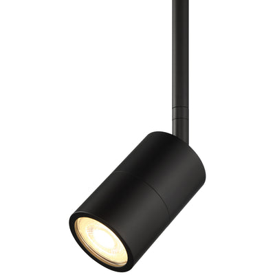 Cafe Dual Mount Contemporary