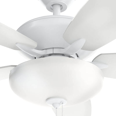 Renew Select Fan