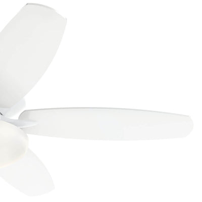 Renew Select Fan