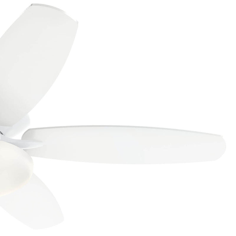 Renew Select Fan