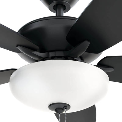 Renew Select Fan