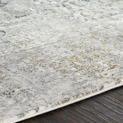 Poneto 9.5 X 13 Rug