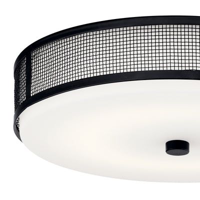 Ceiling Space Flush Mount Light