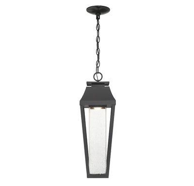 Brookline Outdoor | Hanging Lantern