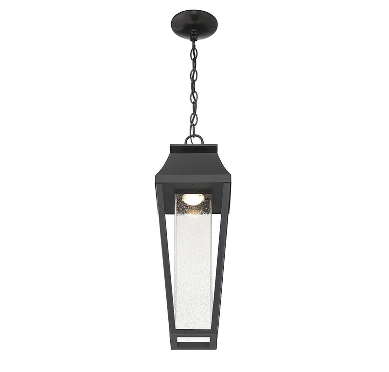 Brookline Outdoor | Hanging Lantern